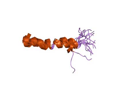 alpha-adrenergic-2a-receptor