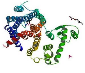 histamine molecule