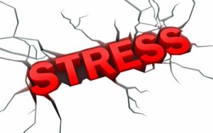 the word stress