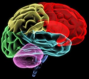 We are going to learn a lot about the brain from ME/CFS