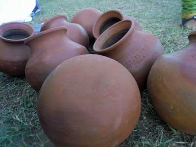 POTS - a strange disorder characterized by difficulty remaining upright (in humans)