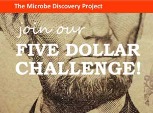 Five dollars to help the best viral hunter on the plan gut it out for ME/CFS
