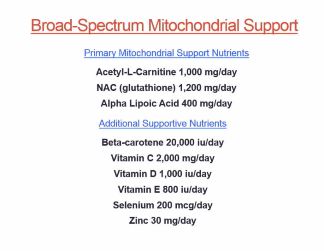  mitochondrial support me/cfs