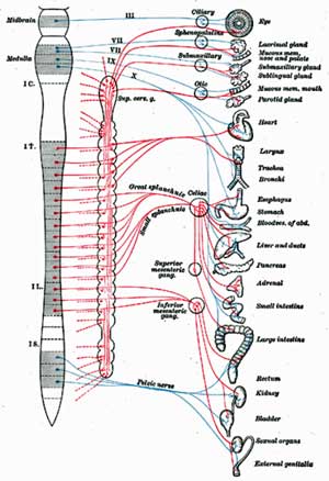 Using TENS Machine for Vagus Nerve Stimulation