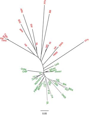 Central sensitization - MEpedia