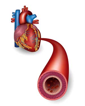 Stagnant Hypoxia - Where Chronic Fatigue Syndrome and Hyperadrenergic ...