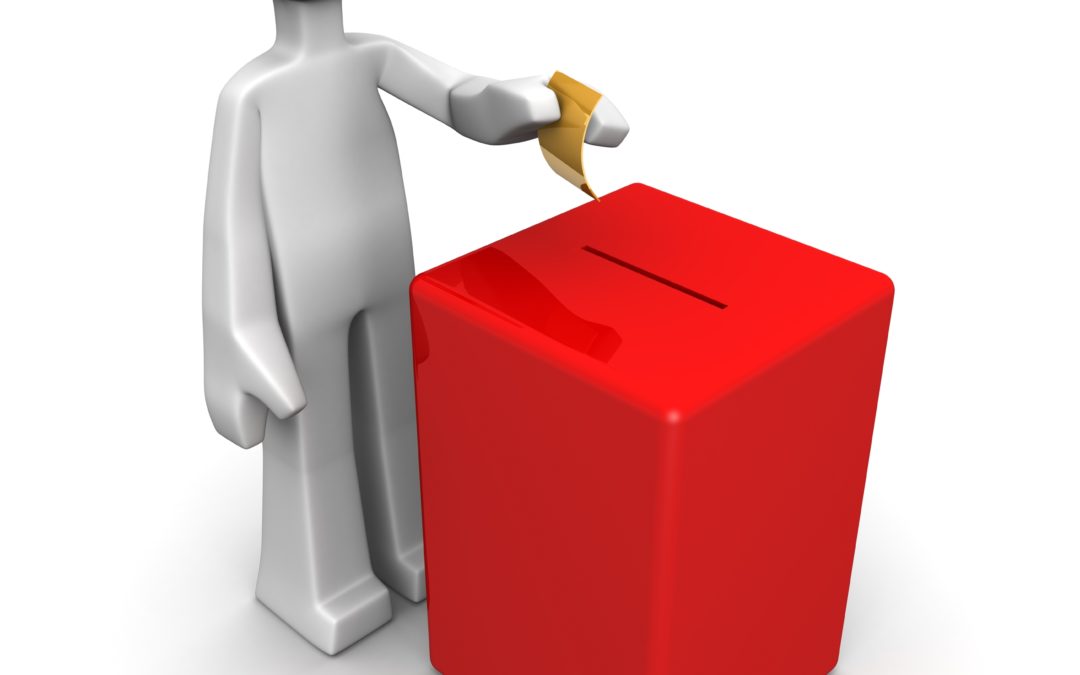 Your Vote – Your Health: The 2018 Elections – An ME/CFS and Fibromyalgia Perspective