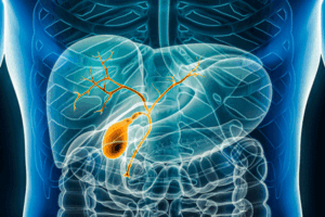 Bile ducts liver 