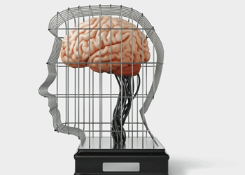 Brain in a cage