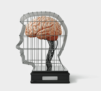 Brain in a cage