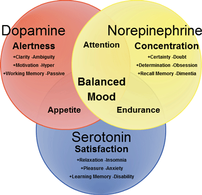 Dopamin-norepinephrine-serotonin