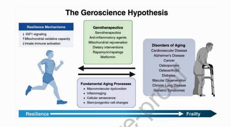 The Geroscience Hypothesis