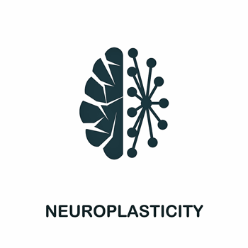 Neuroplasticity