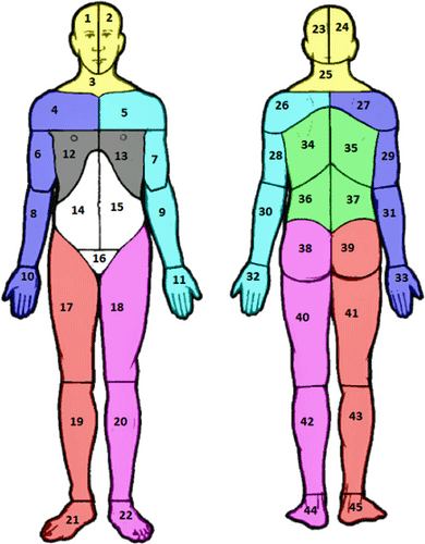 Body Map