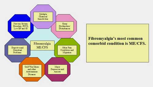 fibromyalgia conditions