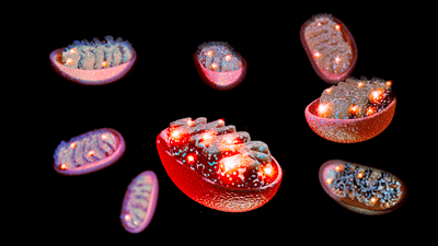 The Mitochondria in Long COVID Pt. I: Are Core Problems Being Uncovered?