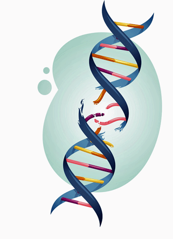 Damaged Mitochondria – the Original Sin? The Recent Mitochondrial ME/CFS Studies