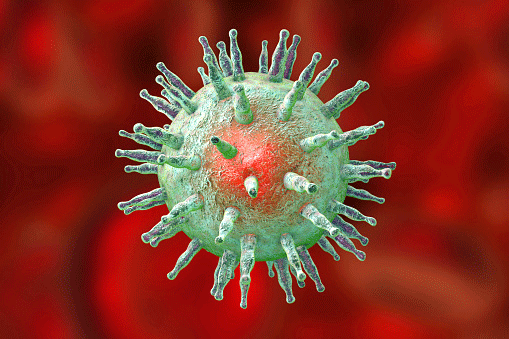 Epstein-Barr virus