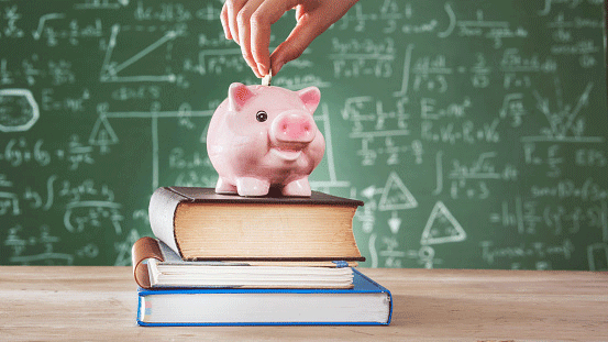 Studious piggy