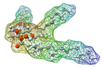 Triglycerides