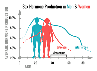 Sex hormones men and women