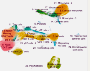 monocytes and T-cell plot