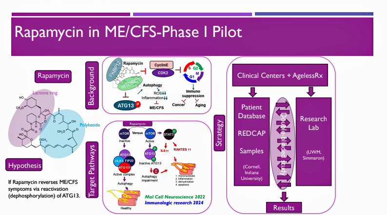 Rapamycin Pilot Study 