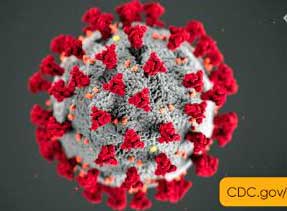 coronavirus